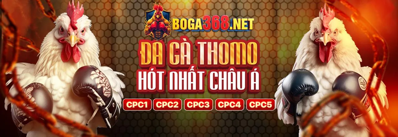 Dịch vụ hỗ trợ khách hàng 24/7 của bk888